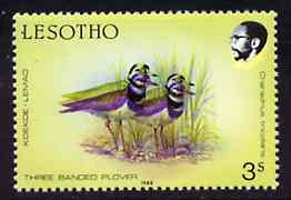 Lesotho 1988 Birds 3s Plover superb colour shift resulting in two birds unmounted mint  SG 792var* (see also #86567), stamps on , stamps on  stamps on birds, stamps on  stamps on 