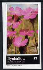 Eynhallow 1982 Flowers #30 imperf souvenir sheet (£1 value) unmounted mint, stamps on flowers