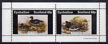 Eynhallow 1981 Ducks #5 perf sheetlet containing set of 2 values unmounted mint, stamps on , stamps on  stamps on birds, stamps on  stamps on ducks