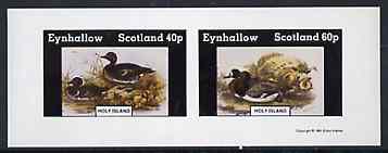 Eynhallow 1981 Ducks #5 imperf sheetlet containing set of 2 values unmounted mint, stamps on , stamps on  stamps on birds, stamps on  stamps on ducks