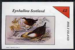 Eynhallow 1982 Birds #42 imperf deluxe sheet (£2 value) unmounted mint, stamps on birds, stamps on 