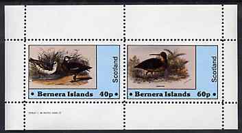 Bernera 1982 Birds #34 perf set of 2 values unmounted mint, stamps on birds