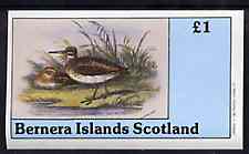 Bernera 1982 Birds #34 imperf souvenir sheet (£1 value) unmounted mint, stamps on birds