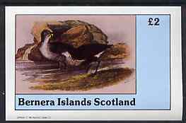 Bernera 1982 Birds #34 imperf deluxe sheet (Â£2 value) unmounted mint, stamps on , stamps on  stamps on birds