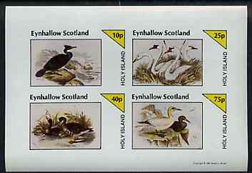 Eynhallow 1981 Birds #43 (Cormorant, Swan etc) imperf sheetlet containing set of 4 values unmounted mint, stamps on , stamps on  stamps on birds