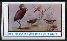 Bernera 1982 Birds #41 imperf souvenir sheet (£1 value) unmounted mint, stamps on birds