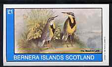 Bernera 1982 Birds #42 imperf souvenir sheet (£1 value) unmounted mint, stamps on birds