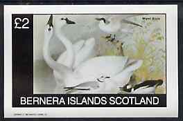 Bernera 1982 Birds #43 imperf deluxe sheet (2 value) unmounted mint