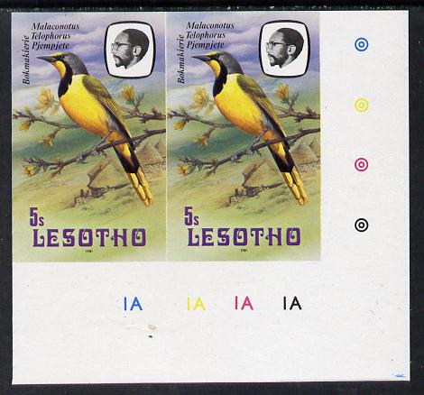 Lesotho 1981 Shrike 5s def in unmounted mint imperf pair* (SG 440), stamps on , stamps on  stamps on lesotho, stamps on  stamps on birds, stamps on  stamps on shrike, stamps on  stamps on 