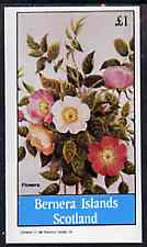 Bernera 1982 Flowers #25 (Dogrose) imperf souvenir sheet (£1 value) unmounted mint, stamps on flowers, stamps on roses