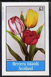 Bernera 1982 Flowers #25 (Tulips) imperf deluxe sheet (£2 value) unmounted mint, stamps on flowers