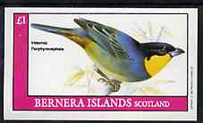Bernera 1982 Birds #46 imperf souvenir sheet (£1 value) unmounted mint, stamps on birds