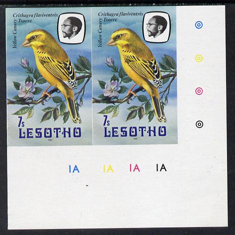 Lesotho 1981 Yellow Canary 7s def in unmounted mint imperf pair* (SG 442), stamps on , stamps on  stamps on lesotho, stamps on  stamps on birds, stamps on  stamps on canary, stamps on  stamps on 