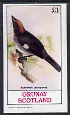 Grunay 1982 Birds #09 (Brush Finch) imperf souvenir sheet (1 value) unmounted mint