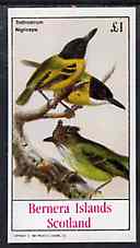 Bernera 1982 Birds #47 (Flycatcher) imperf souvenir sheet (£1 value) unmounted mint, stamps on birds
