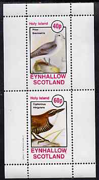 Eynhallow 1981 Birds #44 (Petrel & Wren) perf set of 2 values unmounted mint, stamps on birds