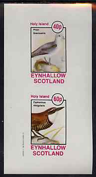 Eynhallow 1981 Birds #44 (Petrel & Wren) imperf set of 2 values unmounted mint, stamps on birds