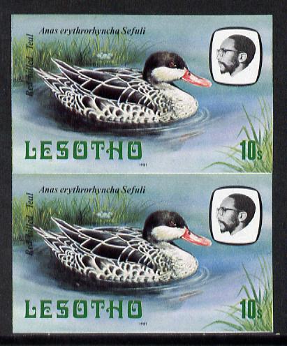 Lesotho 1981 Red Billed Teal 10s def in unmounted mint imperf pair* (SG 443), stamps on , stamps on  stamps on lesotho, stamps on  stamps on birds, stamps on  stamps on teal, stamps on  stamps on ducks, stamps on  stamps on 