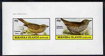 Bernera 1982 Birds #48 imperf set of 2 values unmounted mint, stamps on birds