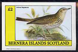 Bernera 1982 Birds #48 (Pipit) imperf deluxe sheet (£2 value) unmounted mint, stamps on birds