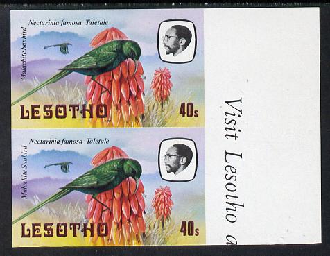 Lesotho 1981 Malachite Sunbird 40s def in unmounted mint imperf pair* (SG 445), stamps on , stamps on  stamps on lesotho, stamps on  stamps on birds, stamps on  stamps on sunbird