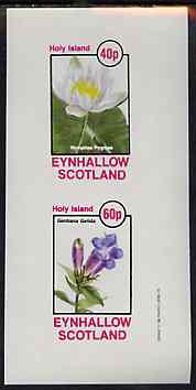 Eynhallow 1982 Flowers #31 imperf set of 2 values unmounted mint, stamps on flowers