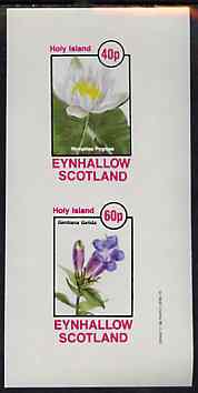 Eynhallow 1982 Flowers #31 imperf set of 2 values unmounted mint, stamps on , stamps on  stamps on flowers