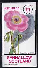 Eynhallow 1982 Flowers #31 imperf souvenir sheet (£1 value) unmounted mint, stamps on flowers