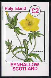 Eynhallow 1982 Flowers #31 imperf deluxe sheet (£2 value) unmounted mint, stamps on flowers