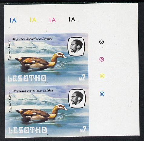 Lesotho 1981 Egyptian Goose M2 def in unmounted mint imperf pair* (SG 449), stamps on lesotho, stamps on birds, stamps on goose