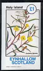 Eynhallow 1982 Flowers #32 imperf souvenir sheet (Â£1 value) unmounted mint, stamps on , stamps on  stamps on flowers