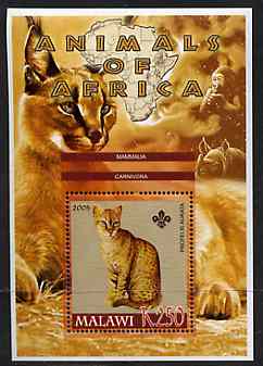 Malawi 2005 Animals of Africa - Golden Cat perf m/sheet with Scout Logo, Rhino & Ape in background, unmounted mint, stamps on , stamps on  stamps on scouts, stamps on  stamps on animals, stamps on  stamps on cats, stamps on  stamps on rhinos, stamps on  stamps on apes