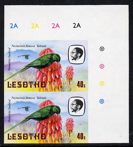 Lesotho 1982 Malachite Sunbird 40s def in unmounted mint imperf pair* (SG 508), stamps on birds, stamps on  sunbird