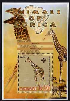 Malawi 2005 Animals of Africa - Giraffe perf m/sheet with Scout Logo with Elephant in background, unmounted mint, stamps on scouts, stamps on animals, stamps on elephants, stamps on giraffes