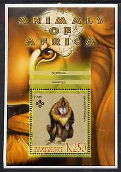 Malawi 2005 Animals of Africa - Mandrill perf m/sheet with Scout Logo, unmounted mint, stamps on , stamps on  stamps on scouts, stamps on  stamps on animals, stamps on  stamps on apes