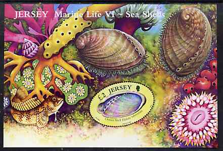 Jersey 2006 Marine Life #6 - Shells perf m/sheet unmounted mint SG MS 1270, stamps on , stamps on  stamps on marine life, stamps on  stamps on shells