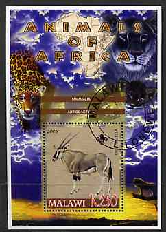 Malawi 2005 Animals of Africa - Gazelle perf m/sheet with Scout Logo & Lions in background, fine cto used, stamps on , stamps on  stamps on scouts, stamps on  stamps on animals, stamps on  stamps on gazelles, stamps on  stamps on lions, stamps on  stamps on cats