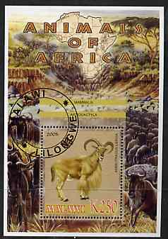 Malawi 2005 Animals of Africa - Barbary Sheep perf m/sheet with Scout Logo with Wildebeest in background, fine cto used, stamps on , stamps on  stamps on scouts, stamps on  stamps on animals, stamps on  stamps on sheep, stamps on  stamps on ovine, stamps on  stamps on bovine