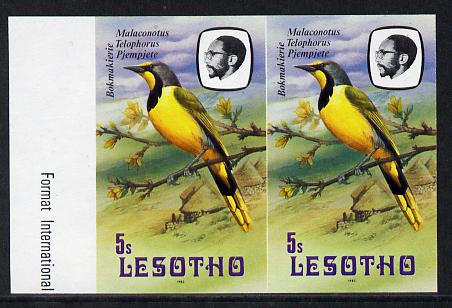 Lesotho 1982 Shrike 5s def in unmounted mint imperf pair* (SG 503), stamps on , stamps on  stamps on birds      shrike