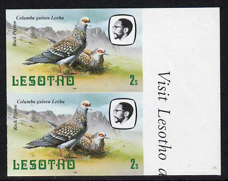 Lesotho 1982 Rock Pigeon 2s def in unmounted mint imperf pair* (SG 501), stamps on , stamps on  stamps on birds     pigeon