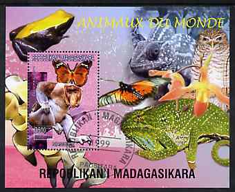 Madagascar 1999 Animals of the World #03 perf m/sheet showing Proboscis Monkey, background shows Frog, Owl, Butterfly, Chameleon & Orchid, fine cto used, stamps on , stamps on  stamps on flowers, stamps on  stamps on orchids, stamps on  stamps on animals, stamps on  stamps on apes, stamps on  stamps on frogs, stamps on  stamps on owls, stamps on  stamps on prey, stamps on  stamps on butterflies, stamps on  stamps on chameleons, stamps on  stamps on birds of prey