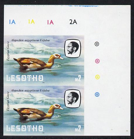 Lesotho 1982 Egyptian Goose M2 def in unmounted mint imperf pair* (SG 512), stamps on , stamps on  stamps on birds      goose