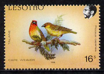 Lesotho 1988 Birds 16s Cape Weaver with horiz perfs dropped 1mm (passing through top of Country) unmounted mint SG 796var*, stamps on birds, stamps on weaver
