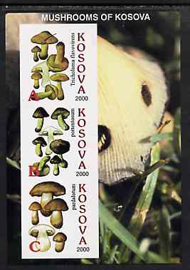 Kosova 2000 Mushrooms #1 imperf sheetlet containing 3 values unmounted mint, stamps on , stamps on  stamps on fungi