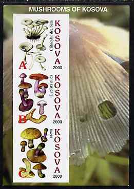 Kosova 2000 Mushrooms #2 imperf sheetlet containing 3 values unmounted mint, stamps on , stamps on  stamps on fungi