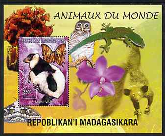 Madagascar 1999 Animals of the World #08 perf m/sheet showing Lemur #2, background shows Owl, Butterfly, Lizard & Orchid, unmounted mint, stamps on , stamps on  stamps on flowers, stamps on  stamps on orchids, stamps on  stamps on animals, stamps on  stamps on apes, stamps on  stamps on owls, stamps on  stamps on prey, stamps on  stamps on butterflies, stamps on  stamps on lizards, stamps on  stamps on birds of prey, stamps on  stamps on reptiles