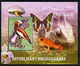 Madagascar 1999 Animals of the World #18 perf m/sheet showing Lampira with Lions Int Logo, background shows Frog, Butterfly, Reptile, Fungi & Orchid, unmounted mint, stamps on flowers, stamps on orchids, stamps on animals, stamps on reptiles, stamps on fungi, stamps on butterflies, stamps on lions int, stamps on birds