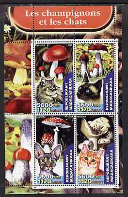 Madagascar 2004 Fungi & Cats perf sheetlet containing set of 4 values unmounted mint, stamps on , stamps on  stamps on fungi, stamps on  stamps on cats