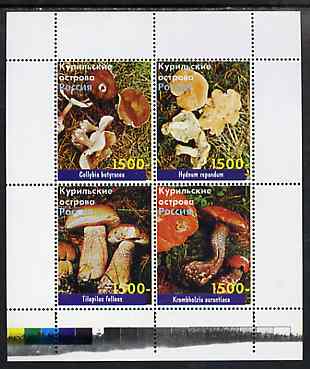 Kuril Islands 1999 ? Fungi perf sheetlet containing 4 values unmounted mint, stamps on , stamps on  stamps on fungi