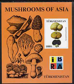 Turkmenistan 1999 Mushrooms of Asia #1 imperf m/sheet with IBRA imprint unmounted mint, stamps on , stamps on  stamps on stamp exhibitions, stamps on  stamps on fungi